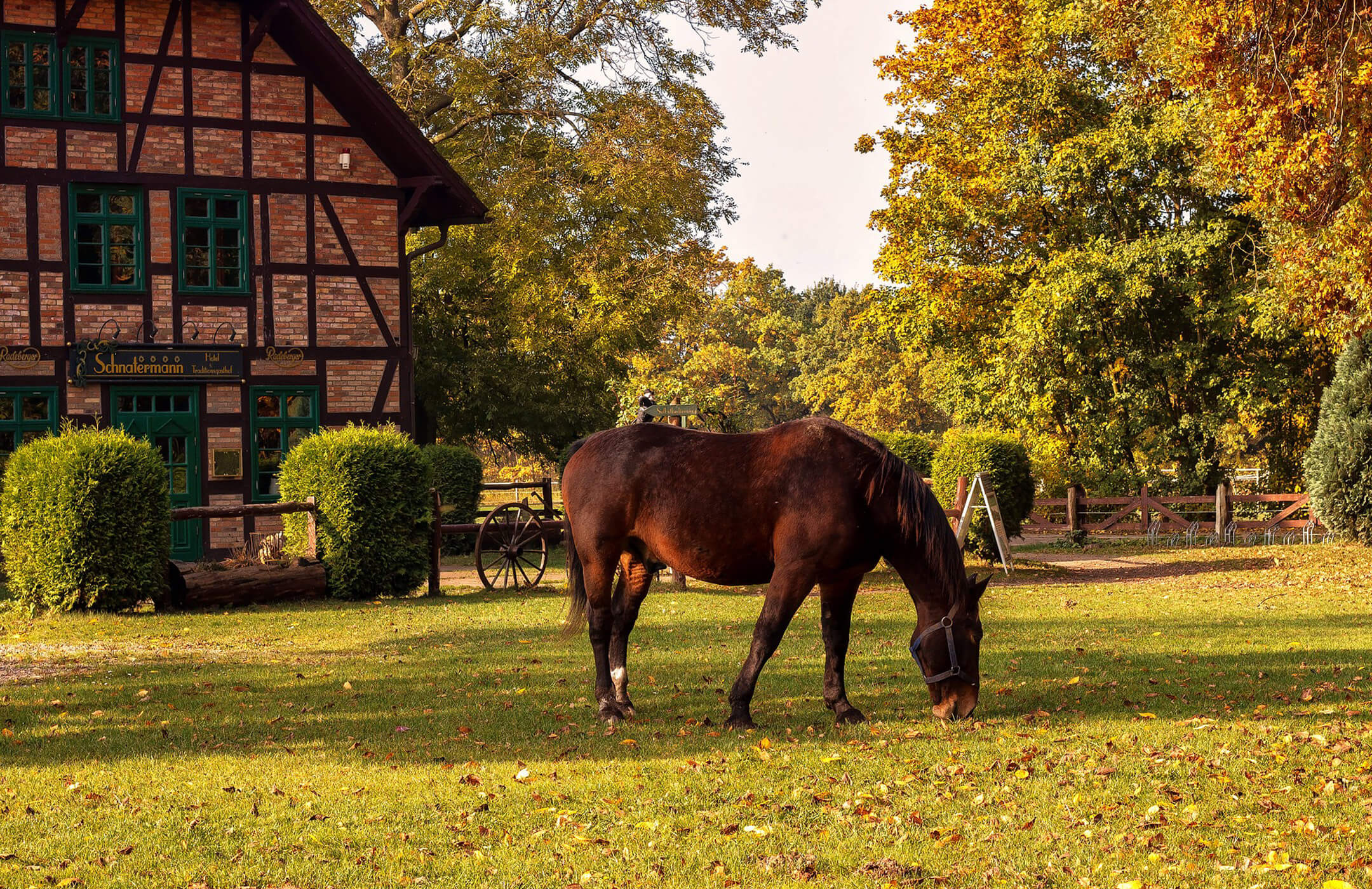 Opulence And Excess: The Lavish Lifestyle Of Saratoga Springs' Fat Cats